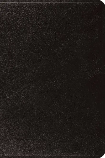 ESV Large Print Bible Top Grain Leather Black