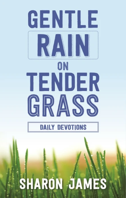 Gentle Rain on Tender Grass