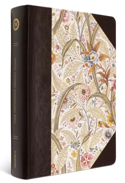 ESV Single Column Journaling Bible, Large Print