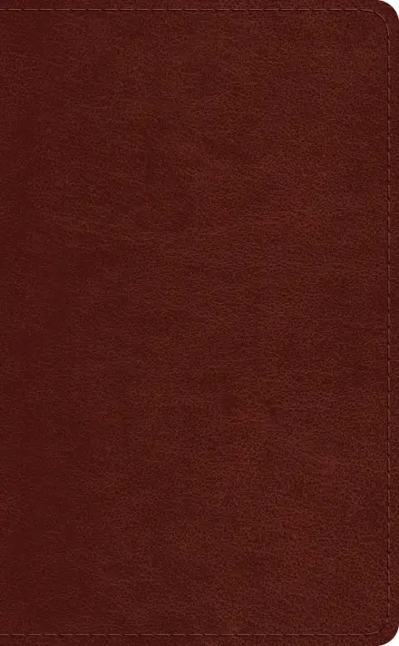 ESV Pocket Bible