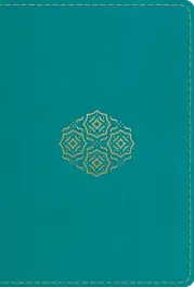 ESV Large Print Compact Bible