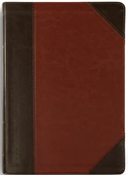 ESV Study Bible, Large Print