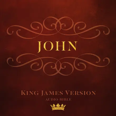 Book of John MP3 Audiobook