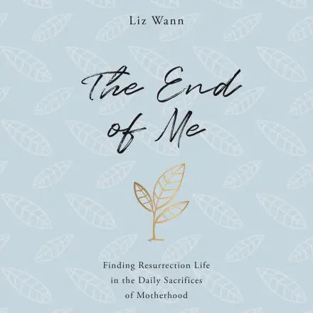 The End of Me MP3 Audiobook