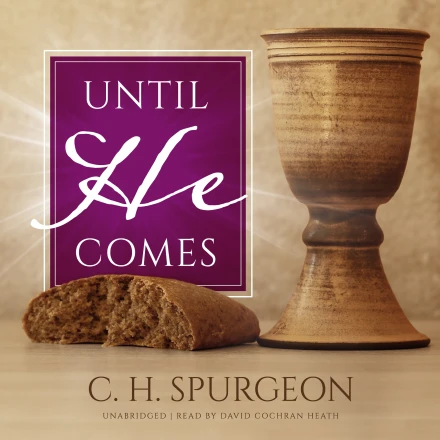 Until He Comes MP3 Audiobook