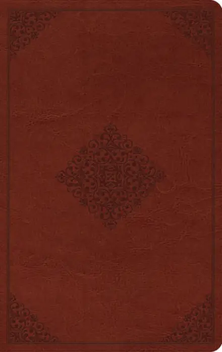 ESV Large Print Value Thinline Bible