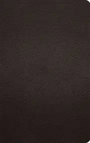 ESV Thinline Bible (Buffalo Leather, Deep Brown)