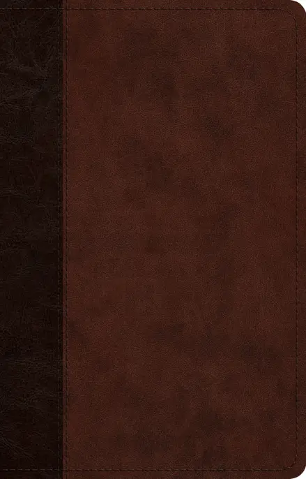 ESV Large Print Thinline Reference Bible (TruTone, Brown/Walnut, Timeless Design)