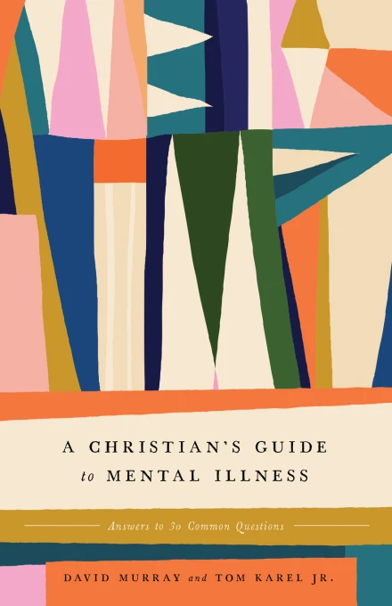A Christian's Guide to Mental Illness