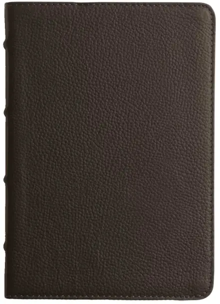 ESV Large Print Compact Bible