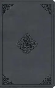 ESV Large Print Thinline Bible (TruTone, Azurite Blue, Ornament Design)