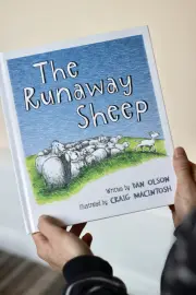 The Runaway Sheep