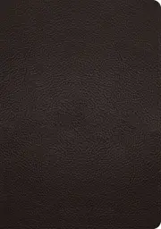 ESV Study Bible (Buffalo Leather, Deep Brown)