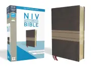 NIV Thinline Bible (Brown, Comfort Print)