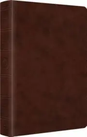 ESV Wide Margin Reference Bible, Red Letter