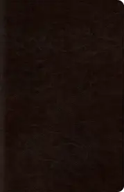 ESV Reference Bible