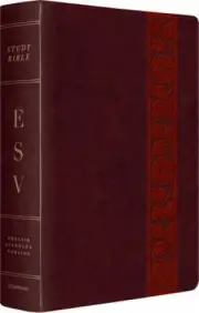 ESV Study Bible, Large Print
