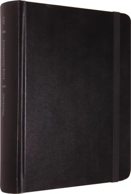 ESV Single Column Journaling Bible