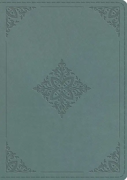 ESV Chronological Bible (TruTone, Paris Sky, Fleur-de-lis Design)