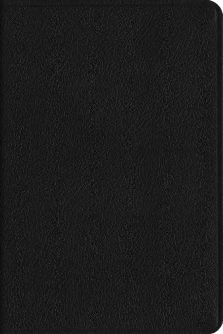 ESV Everyday Gospel Bible: Connecting Scripture to All of Life (Genuine Leather, Black)