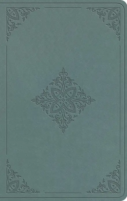 ESV Value Thinline Bible (TruTone, Paris Sky, Fleur-de-lis Design)