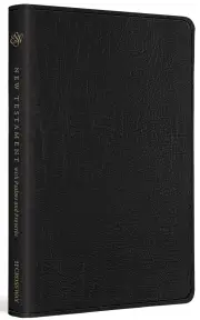 ESV New Testament with Psalms and Proverbs
