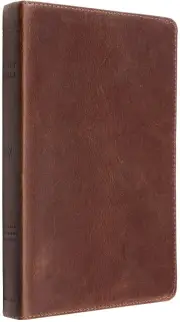 ESV Thinline Bible