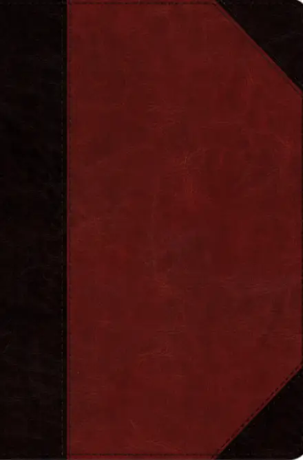 ESV Study Bible, Personal Size