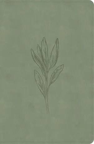 product.name
