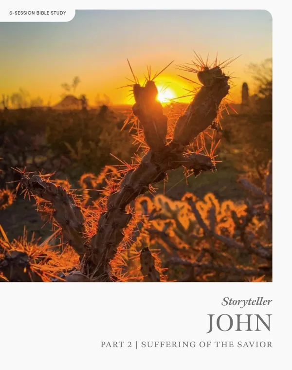 John Part 2: Storyteller (Bible Study Book)