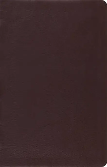 ESV Large Print Thinline Reference Bible (Brown BL)